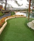 Synthetic Turf