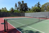 Tennis Anyone?