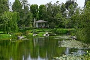 In a Park-Like Setting…