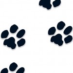 Paw Prints