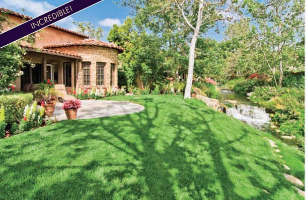 Michael-Taylor-Group