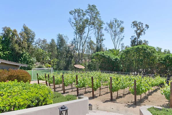 rancho santa fe covenant luxury real estate