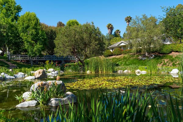 rancho santa fe covenant luxury real estate laura barry