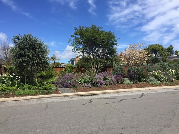 Coronado Luxury Real Estate